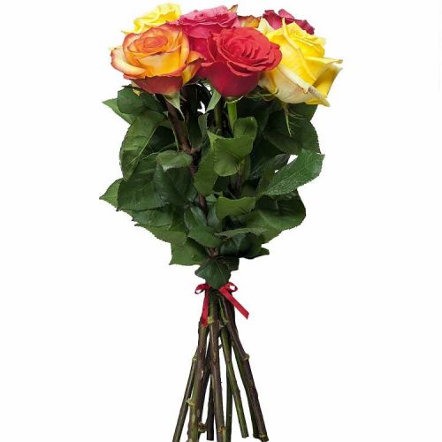Заказать 7 разноцветных роз с доставкой по Гусь-Хрустальному