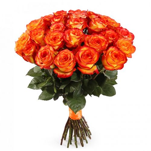25 оранжевых роз с доставкой по Гусь-Хрустальному